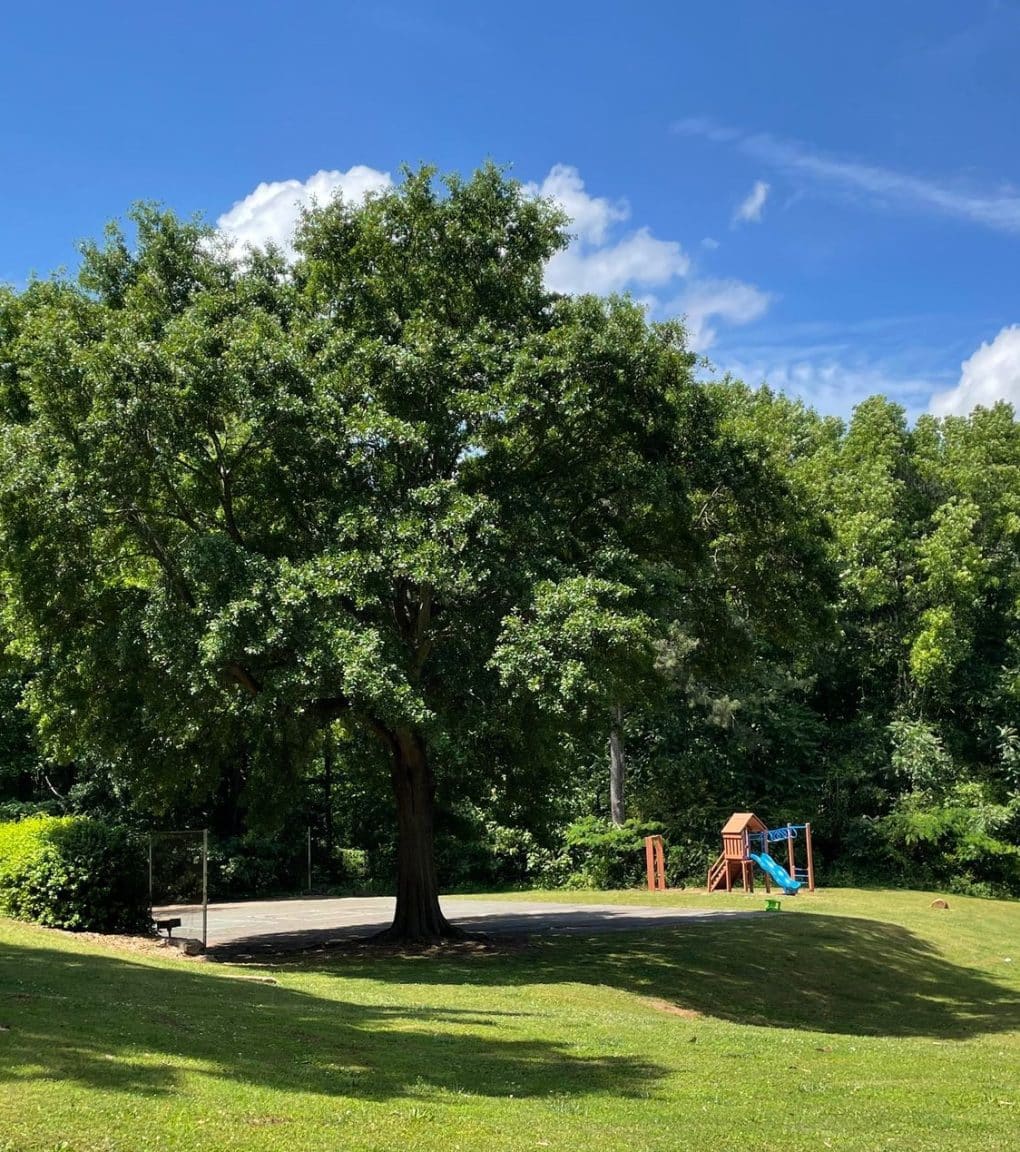 TheWoodridge Playground